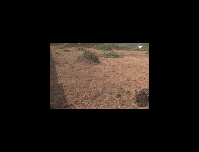 LAND FOR SALE IN SOSHANGUVE SS